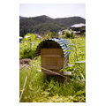 タイトル：ミツバチの巣箱