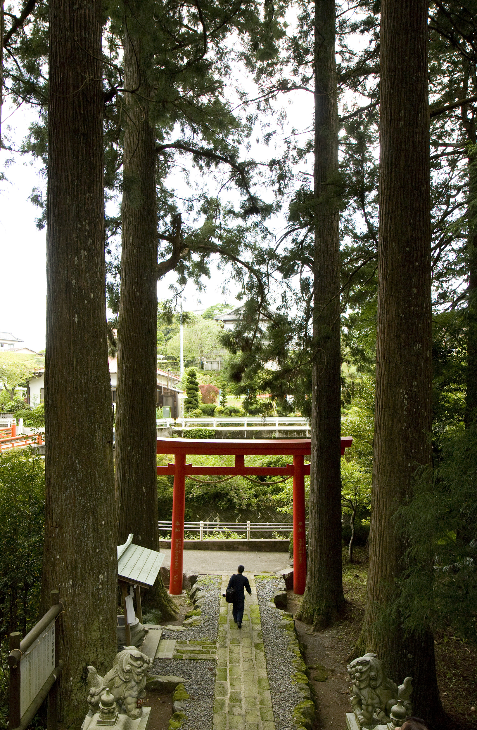 須山浅間神社の参道