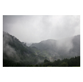 タイトル：雲のなかの熊野の森