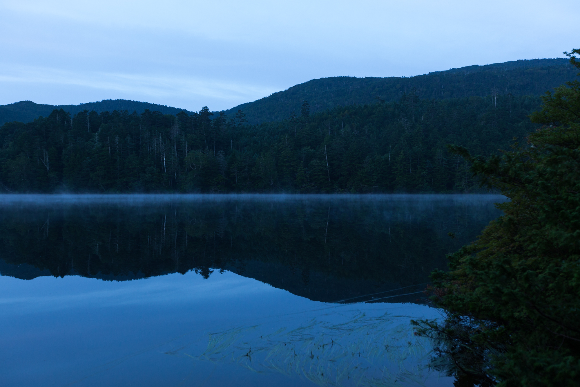 白駒池の朝霧