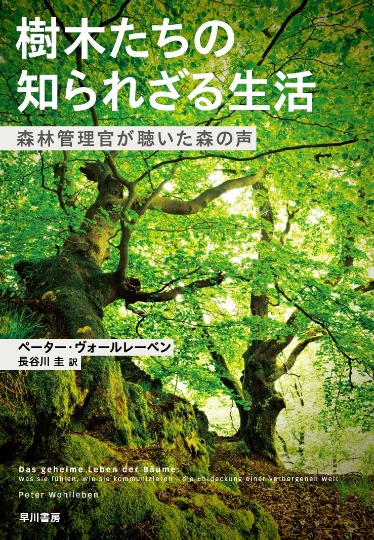 樹木たちの知られざる生活：森林管理官が聴いた森の声 ：編集部の本棚 