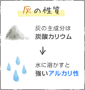 灰の性質　灰の主成分は炭酸カリウム　→　水に溶かすと強いアルカリ性