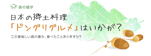 日本の郷土料理「ドングリグルメ」はいかが？　この美味しい森の恵み、食べたことありますか？