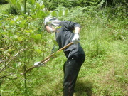 001_916-9.jpg