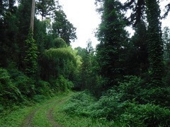 001_938-9.jpg