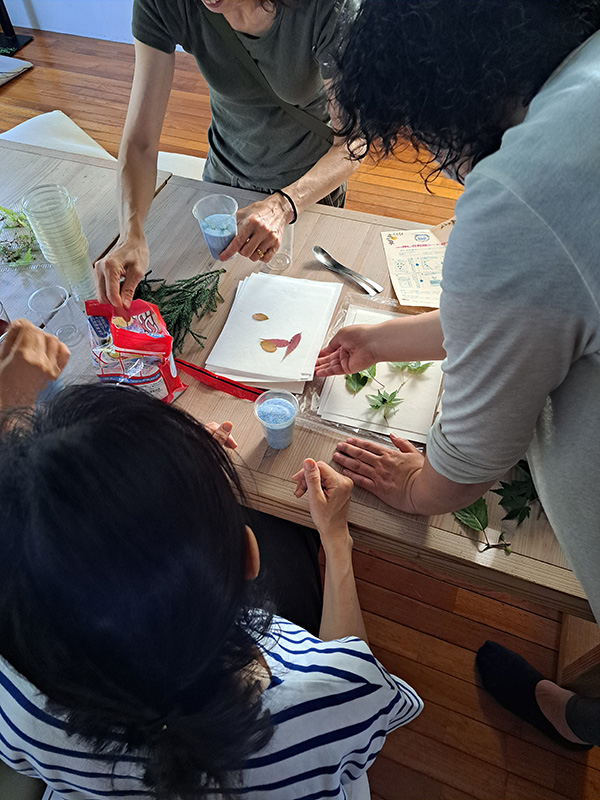 森を祝う「みんなの夏至祭」2025
