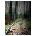 タイトル：森の中へ続く線路