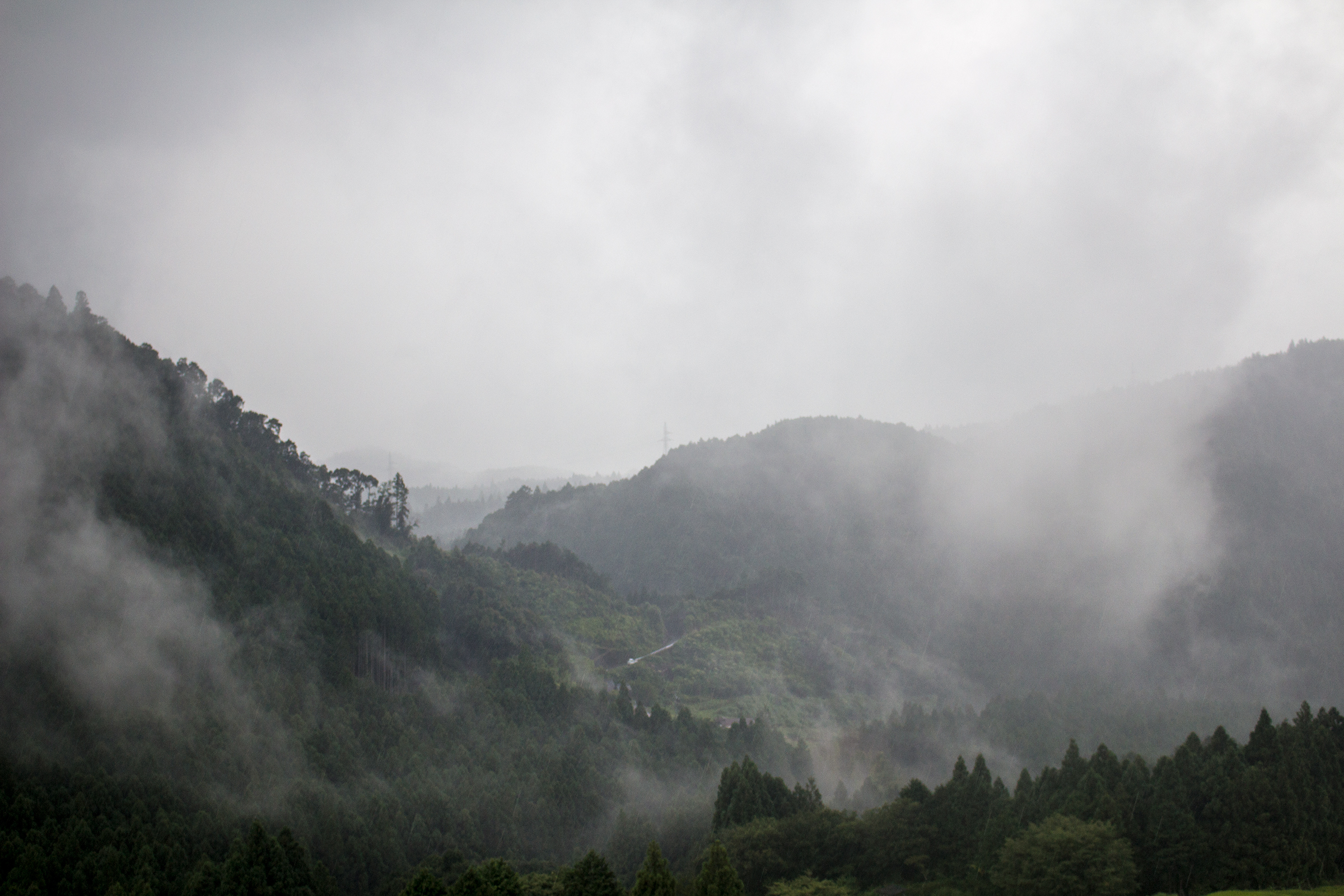 雲のなかの熊野の森