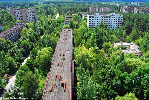 1986年のチェルノブイリ原子力発電所事故によって、ゴーストタウンとなったプリピャチ。建物の隙間を覆うように木々が育っている。 [2012]（※5）