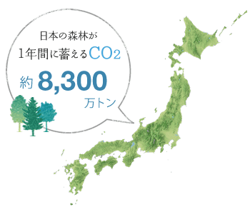 日本の森林が1年間に蓄えるCO2：約8,300万トン