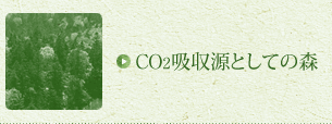CO2吸収源としての森