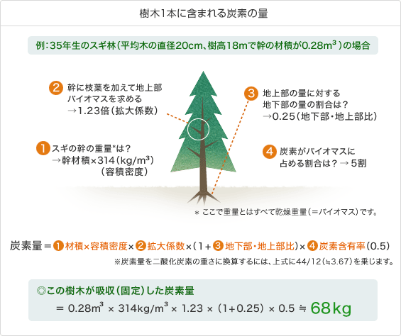 樹木1本に含まれる炭素の量