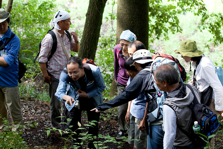森林資源の再活用イメージ１