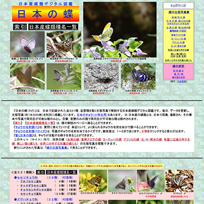 「日本の蝶」のWebサイト