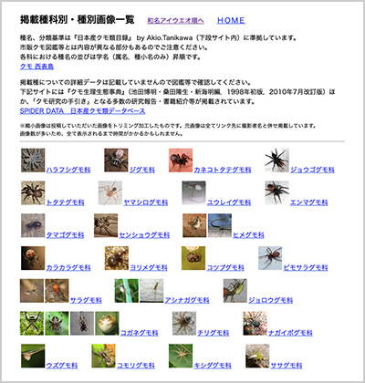 「クモ画像集」のWebサイト