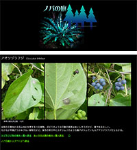 「ノパの庭～樹木の写真」のWebサイト