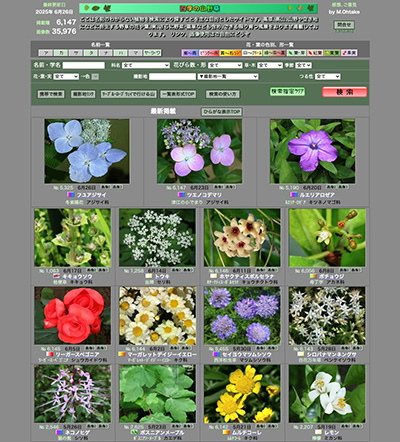「四季の山野草」のWebサイト